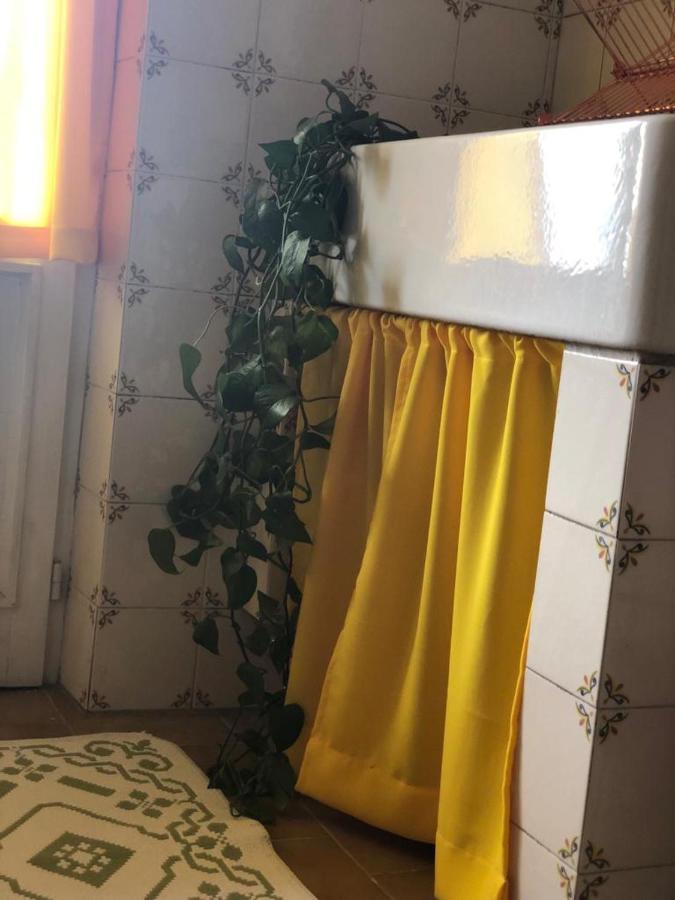 شقة Casa Di Aristide إيربا المظهر الخارجي الصورة